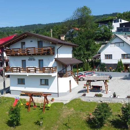 Pensiunea Hantig Tura Borşa Buitenkant foto