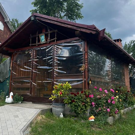 Pensiunea Hantig Tura Borşa Buitenkant foto