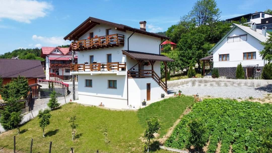 Pensiunea Hantig Tura Borşa Buitenkant foto