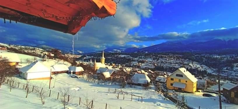Pensiunea Hantig Tura Borşa Buitenkant foto